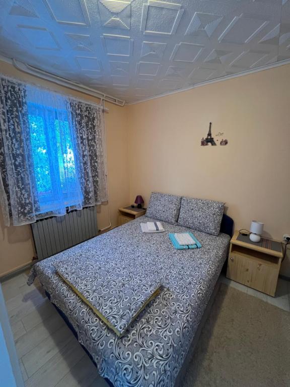 Apartments Obradović Milan - 17