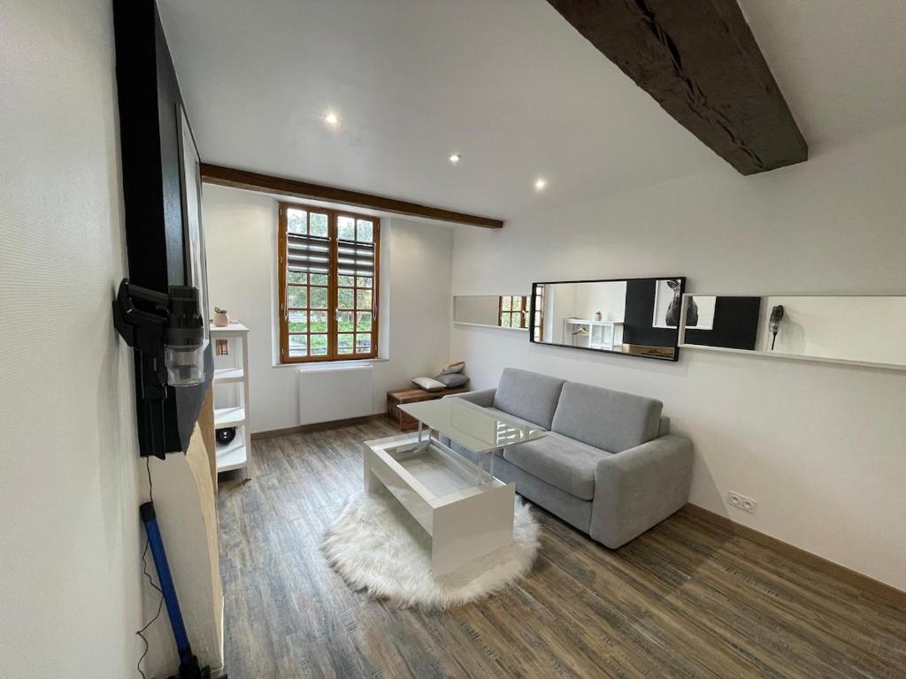 un salon avec un canapé et une table dans l'établissement Appartement charmant hyper centre, à Orléans