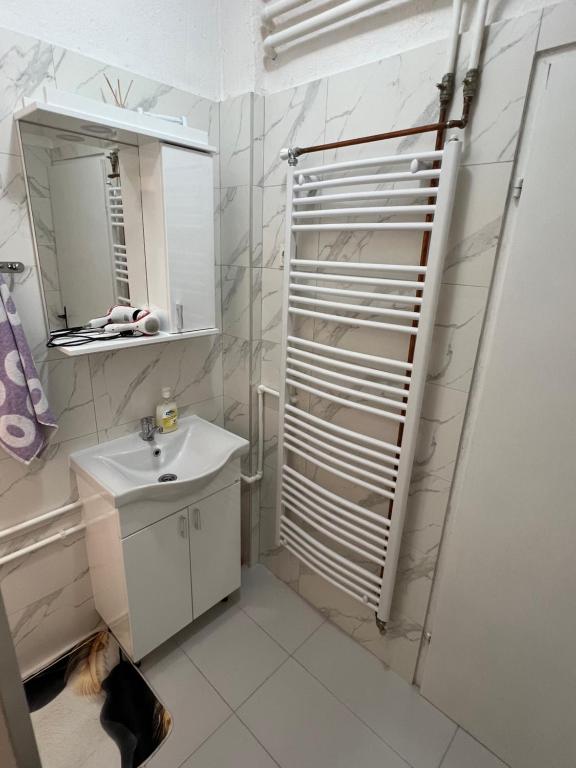 Apartments Obradović Milan - 16