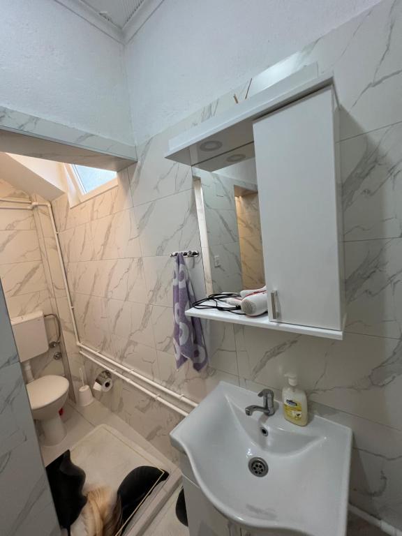 Apartments Obradović Milan - 15