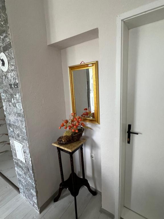 Apartments Obradović Milan - 12