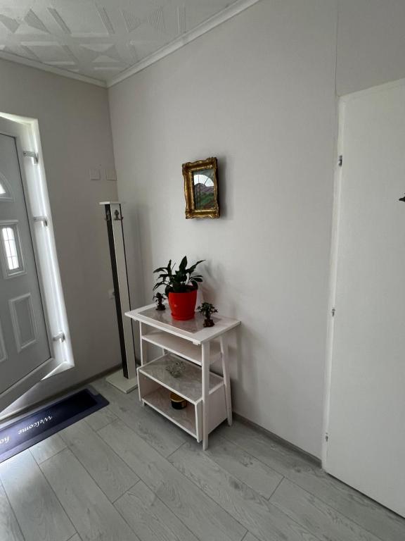 Apartments Obradović Milan - 11