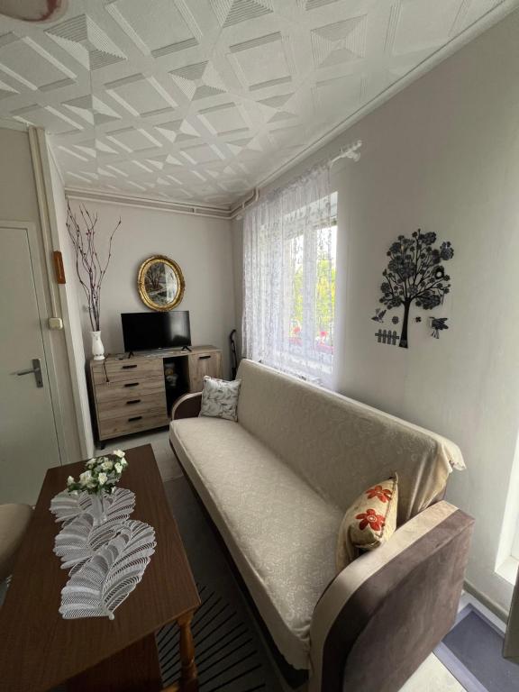 Apartments Obradović Milan - 6