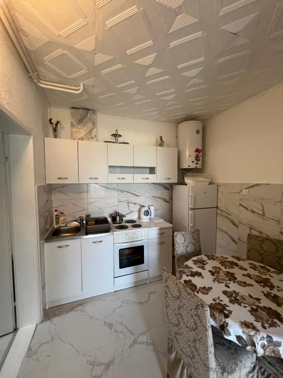 Apartments Obradović Milan - 9