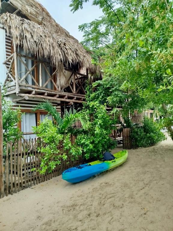 Zahrada ubytování Thani Ecobeach Barú