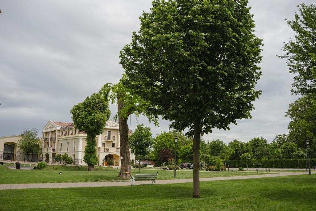 Zahrada ubytování Domeniile Martinutzi -Hotel Cardinal si Conac Rhedey