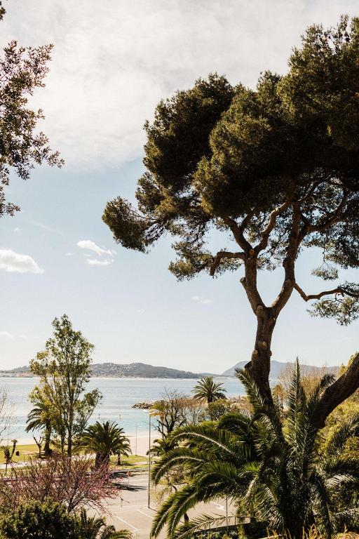 a tree in front of a body of water at Hôtel Les Voiles in Toulon