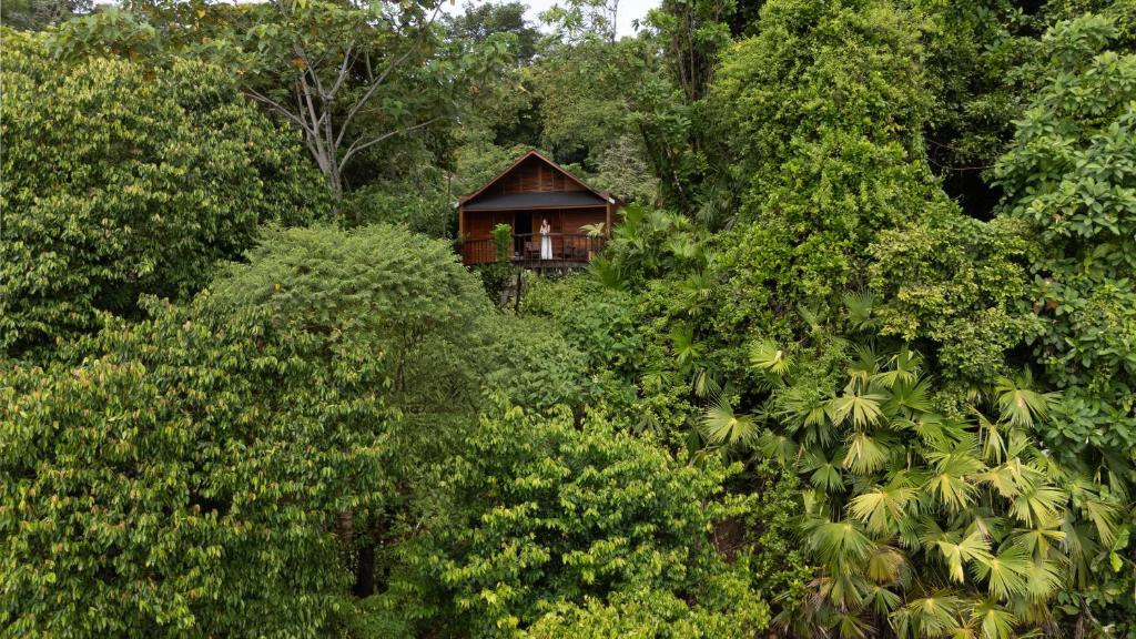 una cabaña en medio de un bosque de árboles en Solana Mar y Selva Boutique, en Bahía Solano