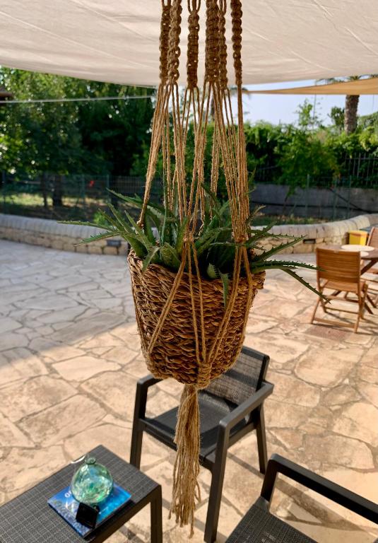 A garden outside Il Calesse - Noto