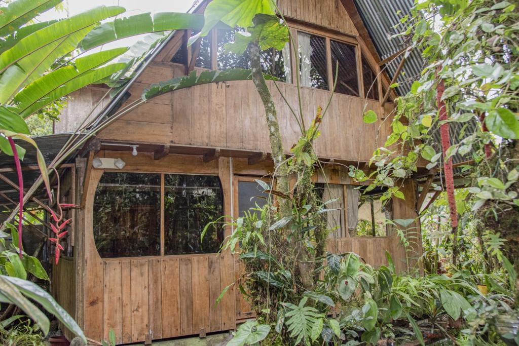 Zahrada ubytování Cabañas Armonía y Jardín de Orquídeas