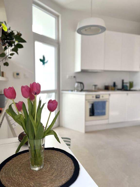 Kuchyň nebo kuchyňský kout v ubytování Apartmán Olomouc