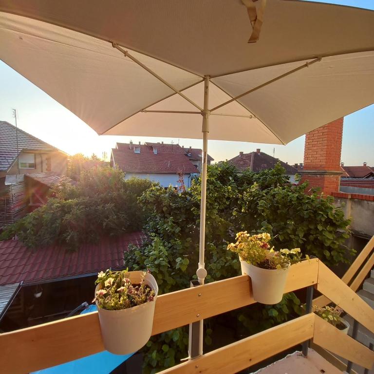 Balkón nebo terasa v ubytování B&B Baš Baštica
