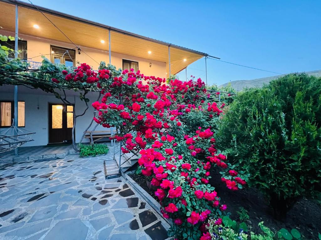 Jardí fora de Guesthouse Mtkvari