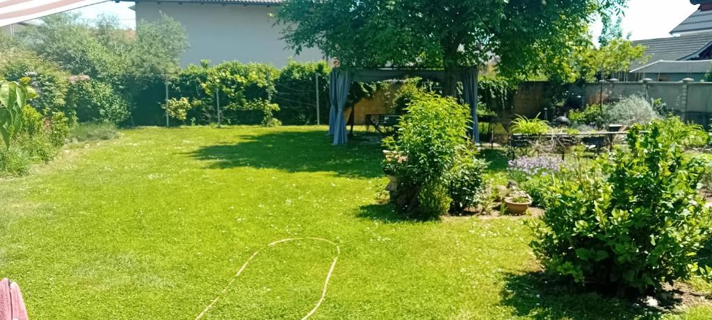 Zahrada ubytování Camp THEA, jurta tent glamping
