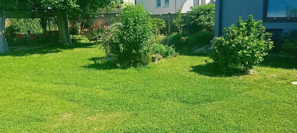 Zahrada ubytování Camp THEA, jurta tent glamping