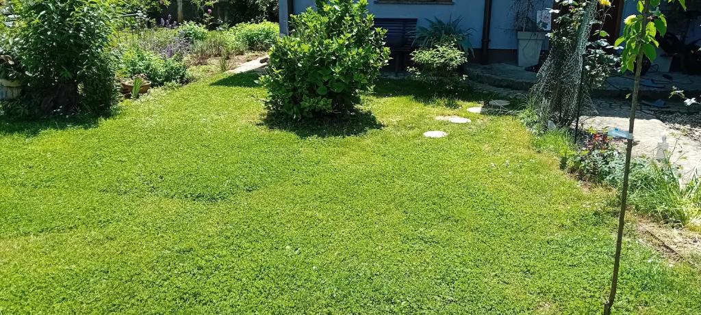 Zahrada ubytování Camp THEA, jurta tent glamping
