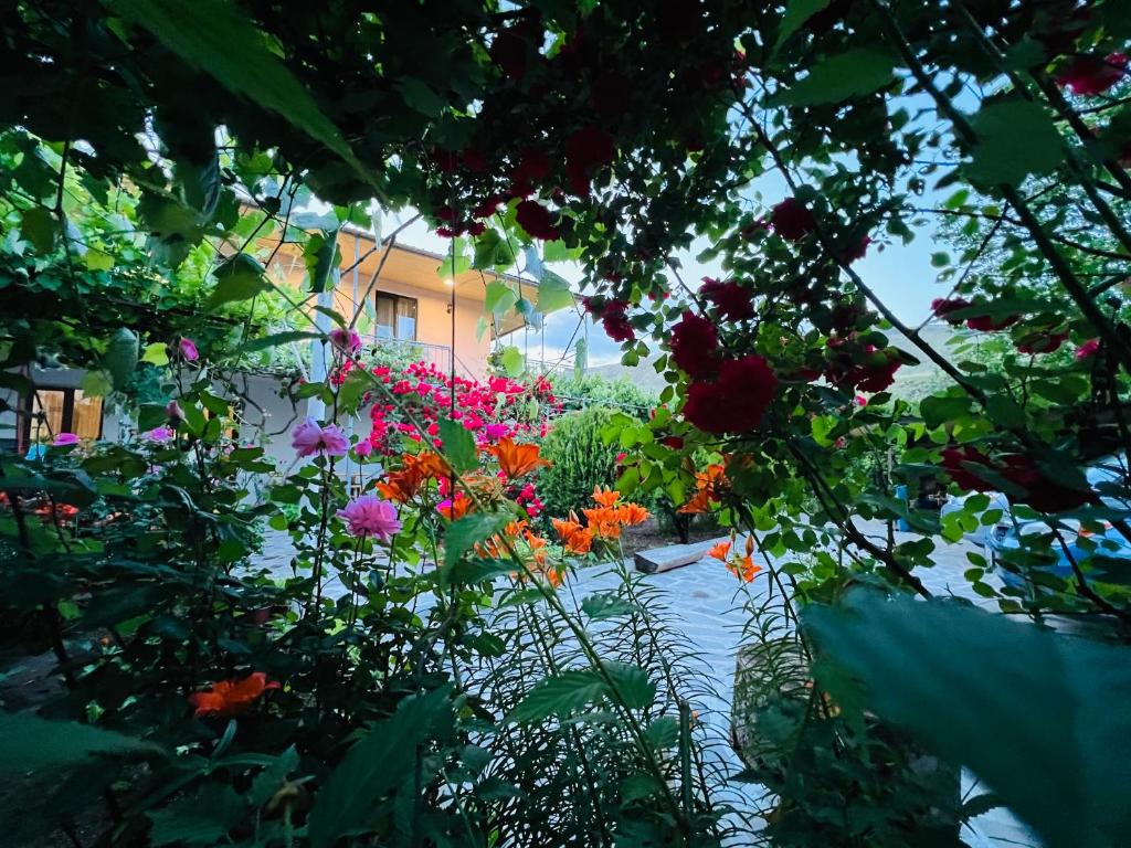 Jardí fora de Guesthouse Mtkvari