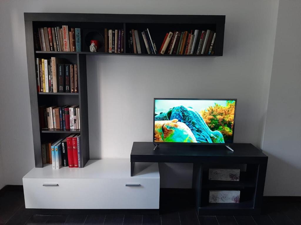 TV a/nebo společenská místnost v ubytování Smart hostel