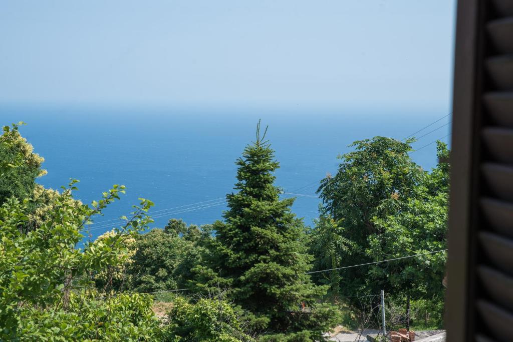 Příroda nedaleko apartmánu