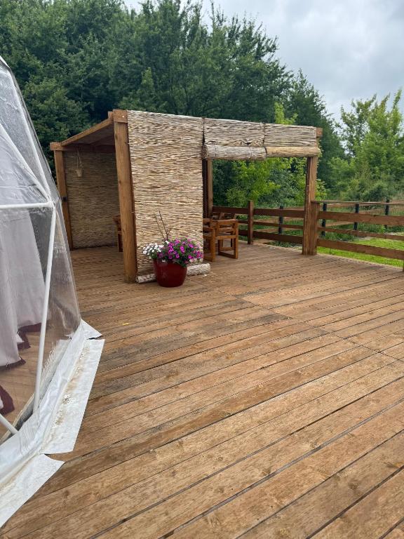 Fotografie z fotogalerie ubytování Glamping LA BELLA Suntago v destinaci Aleksandria
