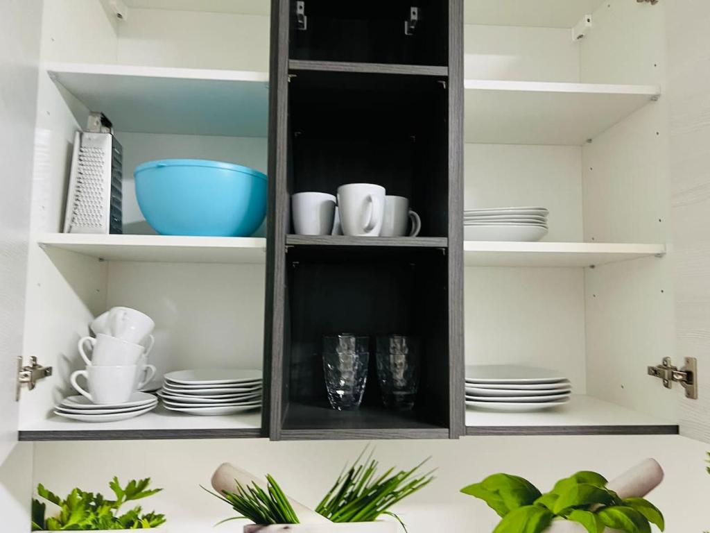 a kitchen cabinet filled with dishes and plates at Big Travel Group Leoben in Leitendorf