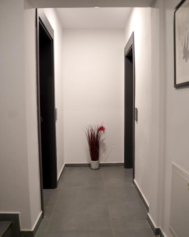 Fotografie z fotogalerie ubytování Fole Apart Hotel v destinaci Pristina