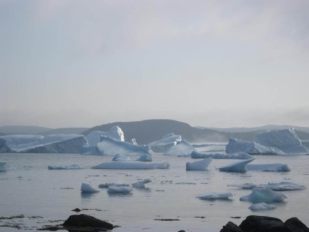 un grupo de icebergs en un cuerpo de agua en Wildberry Country Lodge B&B, en St. Anthony