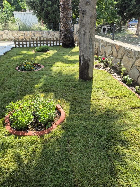a tree and some plants in a yard at Datcha Cozyhomes Reşadiye in Datca