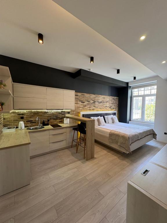 萨拉热窝Boulevard Apartments的一间带床的大卧室和厨房