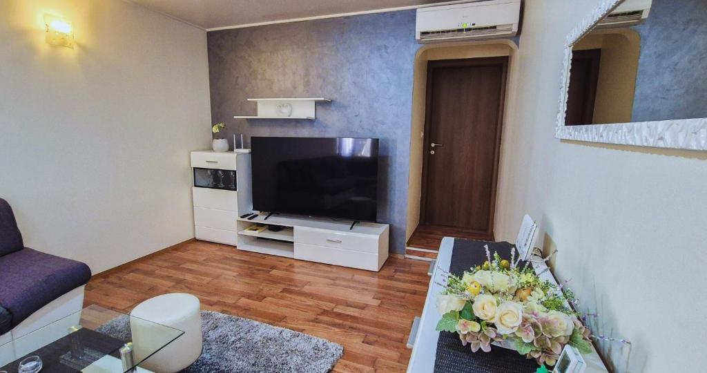 Televízia a/alebo spoločenská miestnosť v ubytovaní Central Apartment Castle Cippico