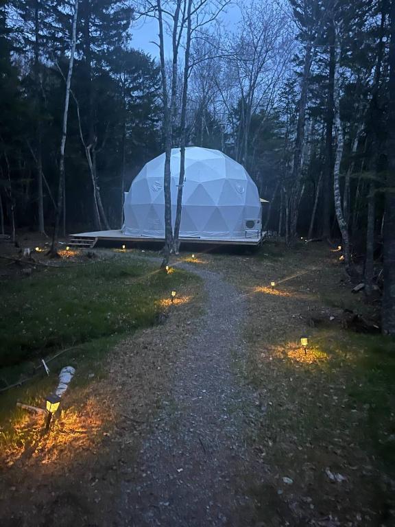 a tent sitting in the middle of a field at Bubbles in Saint Andrews