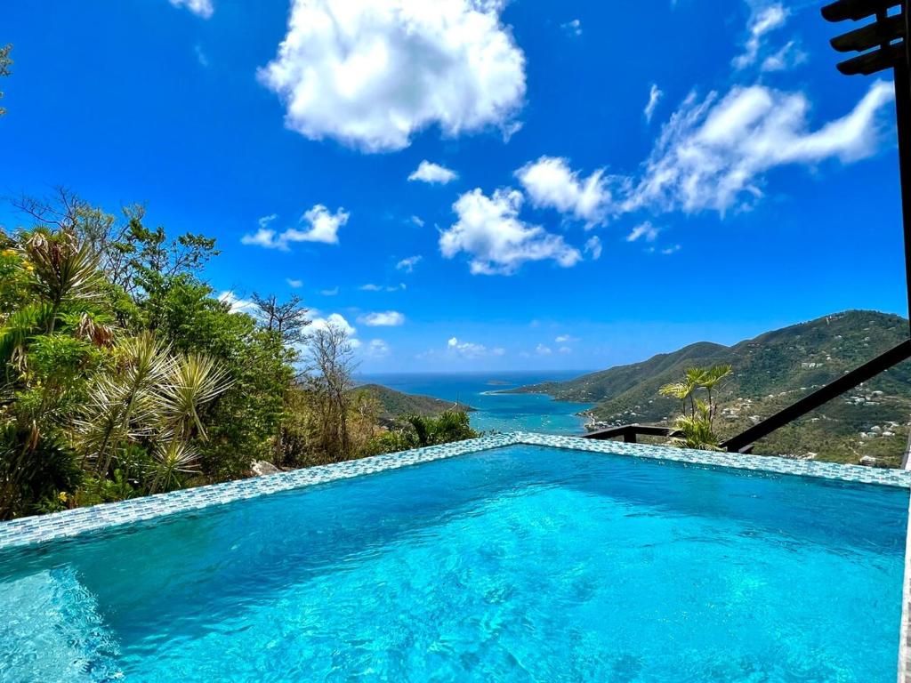 ein Swimmingpool mit Blick auf das Meer in der Unterkunft Casa Carolina - Modern Villa with Private Pool in Coral Bay