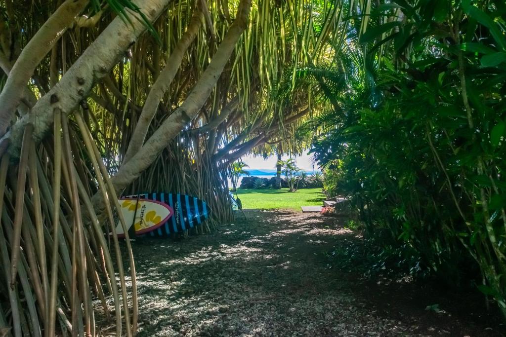 Giardino di Aroha Taveuni Beachfront Bures