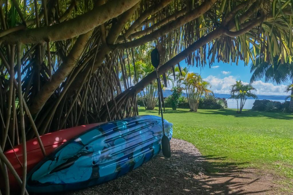 Giardino di Aroha Taveuni Beachfront Bures