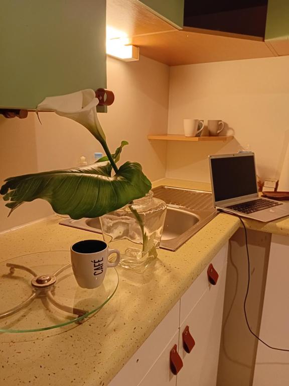 Photo de la galerie de l'établissement Gîte mobil landes, à Mano