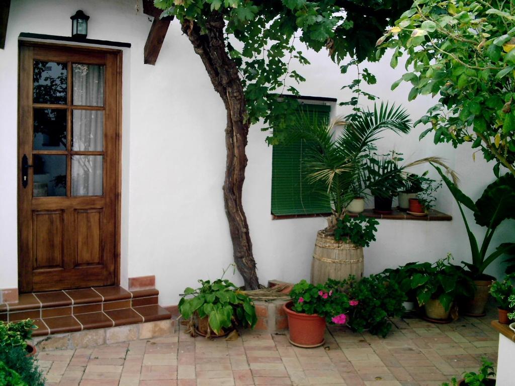 a house with a door and a tree and plants at Señorío de Monterruiz in Casas de Santa Cruz