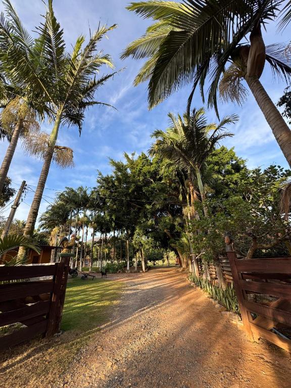 a dirt road with palm trees and a fence at Pousada Recanto Das Gerais in Carmo do Rio Claro