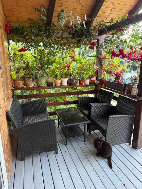 Balkón nebo terasa v ubytování Cabana Sorina