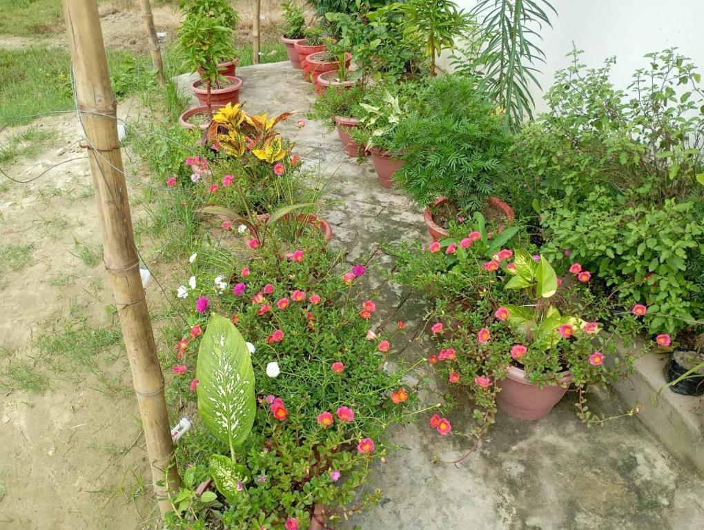 Zahrada ubytování Atithi home stay and Cloud Kitchen