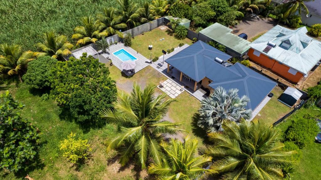 an overhead view of a blue house with palm trees at Villa Jardin secret de la boucan - OFFRE SAISONNIERE ! in Sainte-Rose