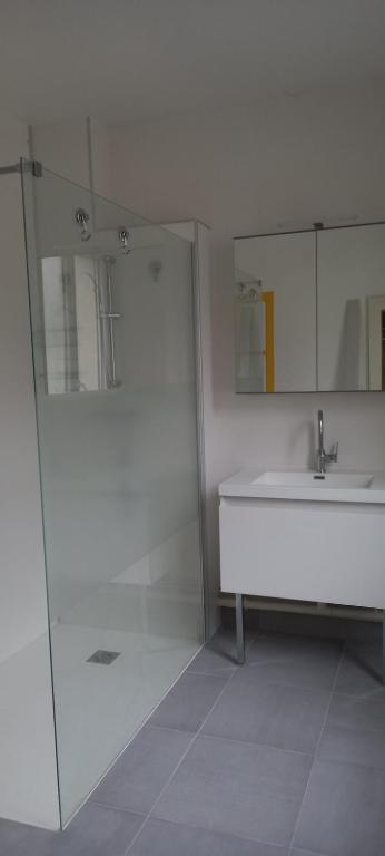 une salle de bain avec un lavabo et un miroir dans l'établissement Au coeur des vignes, à La Chartre-sur-le-Loir