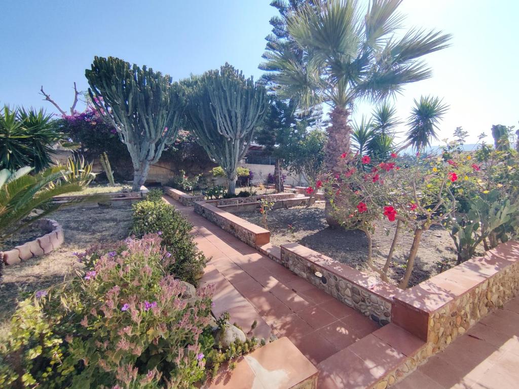 a garden with flowers and trees and palm trees at Case Vacanza Punta Bianca in Agrigento
