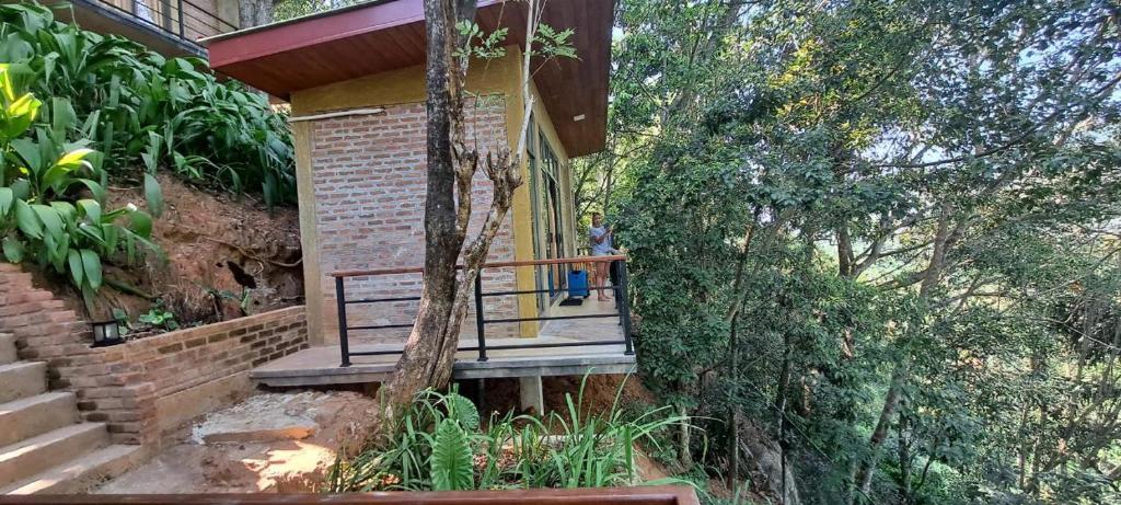 Zahrada ubytování Kandy Bird Villas