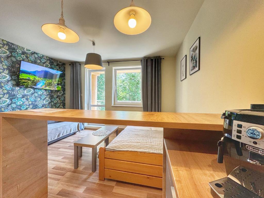 TV a/nebo společenská místnost v ubytování Apartamenty Szóstka Wisła Kamienna