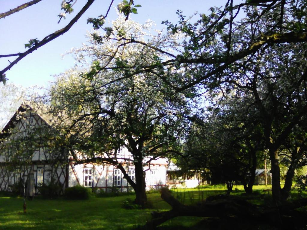 a building with trees in front of it at Villa Eden Peene in Gützkow