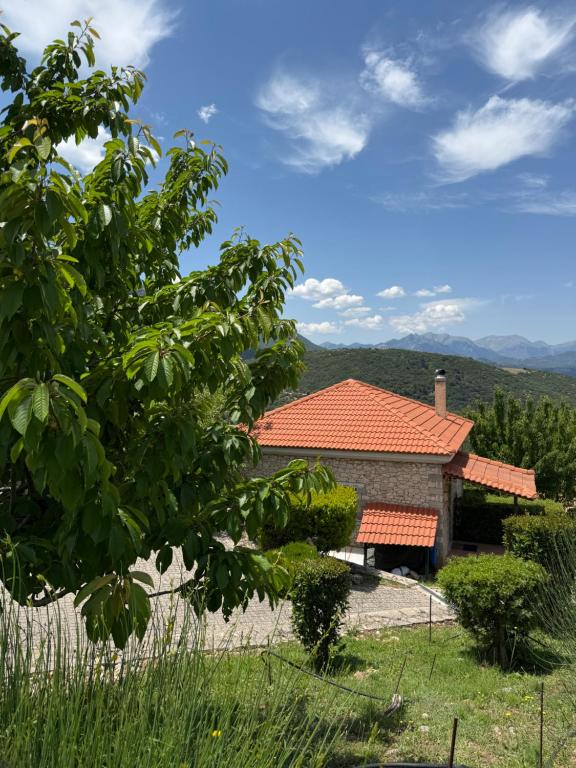Príroda v okolí vily