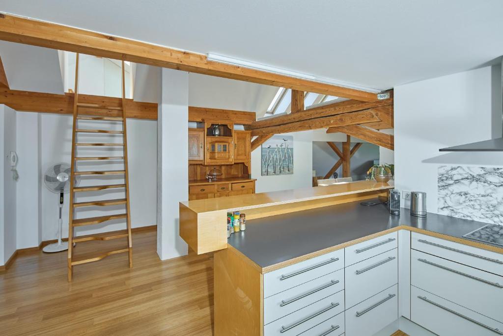 Kuchyň nebo kuchyňský kout v ubytování Außergewöhnliches Loft am Pfänderhang mit Seeblick