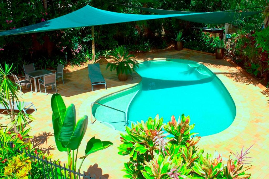 a swimming pool with a blue umbrella and some plants at Aquatica - Luxe Holiday Home in Palm Cove