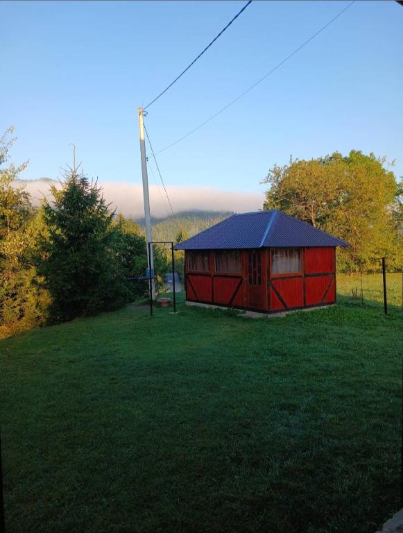 Příroda nedaleko venkovského domu