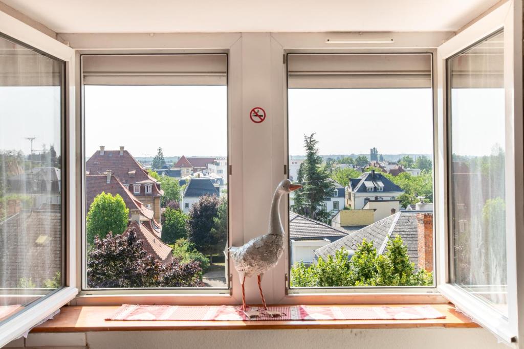GANZALIESELE, Idéal Pro, Gare à 2 minutes à pied, Bus devant l'Immeuble, Arrivée Autonome, Wifi, Centre historique de Colmar, Appartement lumineux et calme, – photo 19